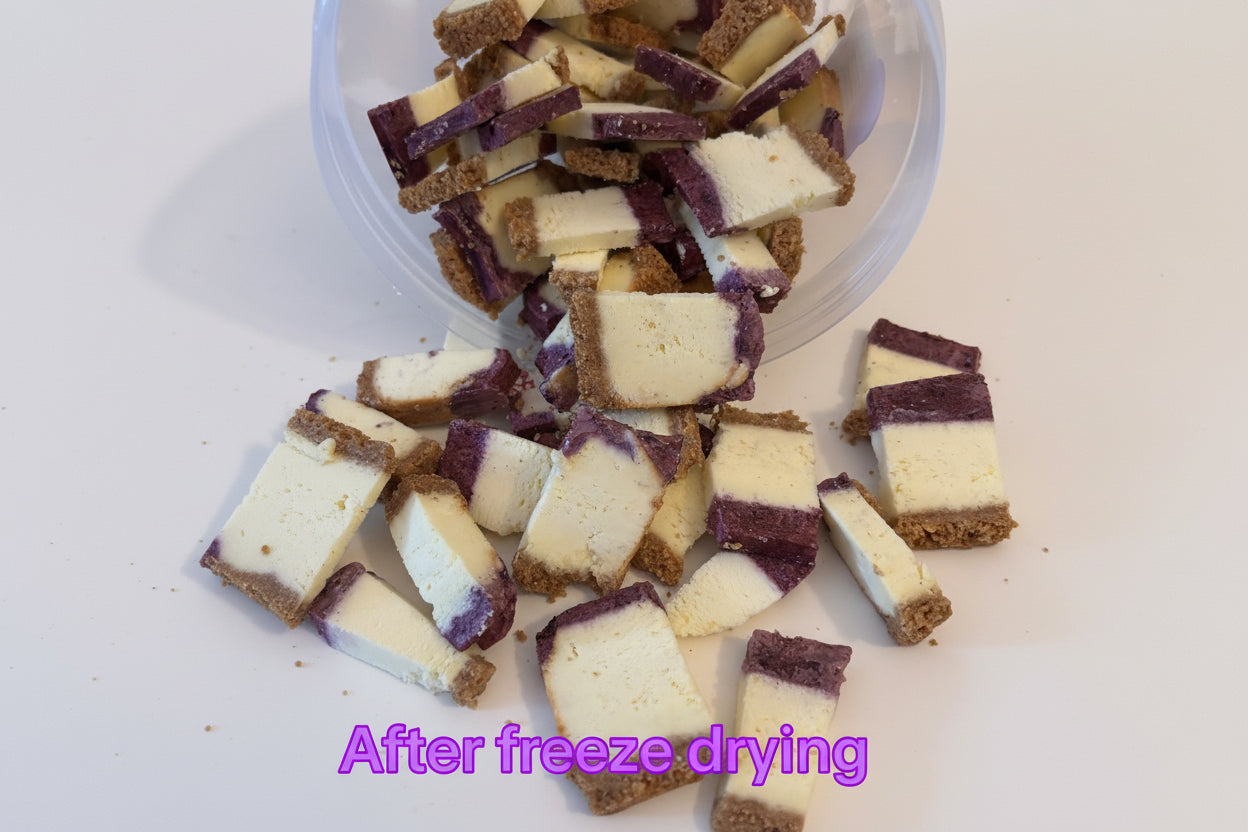 Blueberry Freeze-Dried Cheesecake Bites